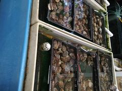 -恒达综合农贸市场(黄山路店)