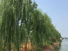 -李时珍纪念馆