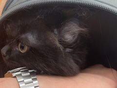 -申普宠物医院·眼科·心内科·影像科(普陀分院)