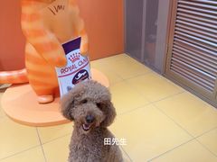 -北京SKP