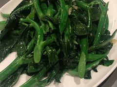 蒜茸芥兰-花城苑广府菜(侨鑫店)