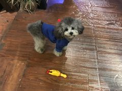 -默迹咖啡馆
