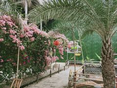 -呀路古热带植物园