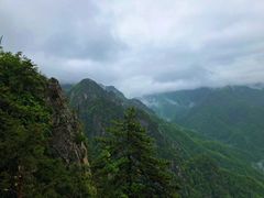 -陕西省红河谷森林公园