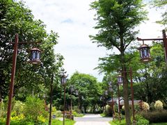 -顺峰山公园