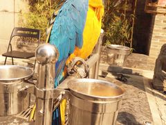 -那家小馆•北京菜•烤鸭(中关村店)