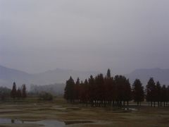 -塔川景区