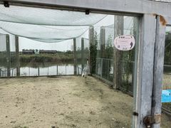 -盐城丹顶鹤湿地生态旅游区