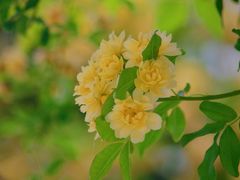 -黄兴公园
