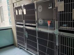 -嘉馨宠物医院·CT影像转诊·心脏科·犬猫全科诊疗中心(下沙大学城院区)