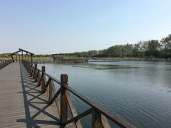 -溱湖国家湿地公园