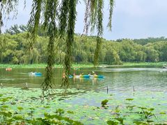 -WhaleSports户外水上运动俱乐部(朝阳公园店)