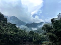 -祁门牯牛降观音堂风景区