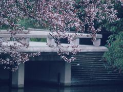 景点-荆川公园