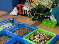-七鲜渔港美食餐厅(巽寮湾海景店)
