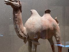 -敦煌市博物馆