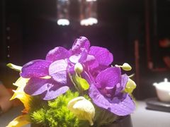 -夜上海(新天地店)
