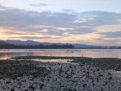 -海埂大坝