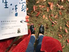 -Seesaw Coffee(上生新所店)