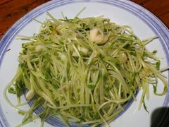 清炒豌豆苗-老家信阳菜(北京路店)