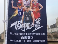 -华中科技大学光谷体育馆