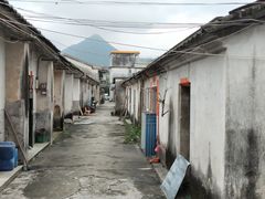 -盐洲岛