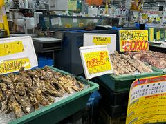 -南纪白浜Toretore市场