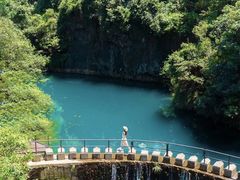 -大奇山国家森林公园