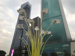 -西北湖绿化广场