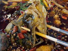 -麻辣巅峰美蛙鱼头火锅(犀浦店)