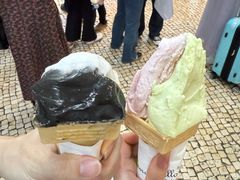 番石榴-柠檬车露(卖草地店)