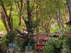 -园林美食城·本土农家菜(杨和镇店)