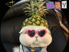 -小赵烧烤(银亿店)