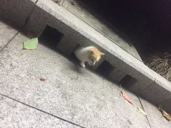 -上海中医药大学-食堂