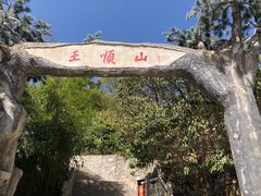 -王顺山国家森林公园