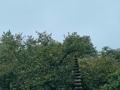 -浙江省博物馆(孤山馆区)