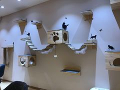 -Pets First伊珊娜洗护·精致美容·家庭式寄养(新会路店)