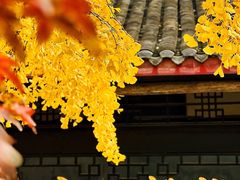 -古大圣慈寺