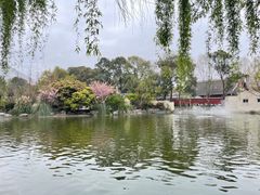 -成都动物园