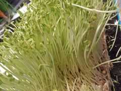 -V-ONE西雅图海鲜自助餐厅(仓山万达广场店)