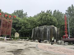 -合肥滨湖国家森林公园