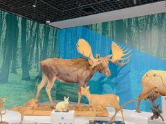 -中国湿地博物馆