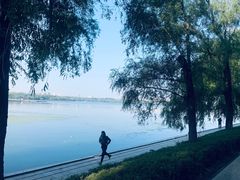 -长春市南湖公园