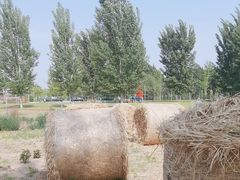-林栖谷森林康养度假区