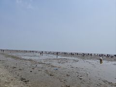 -天津东疆湾沙滩景区