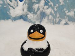 -长沙湘江冰雪世界