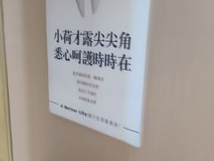 -柏乐口腔医院·舒适化无痛种植牙中心(东盟商务区院)
