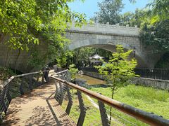 -白水寺森林公园