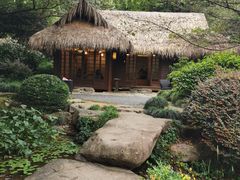 -中国茶叶博物馆(双峰馆区)