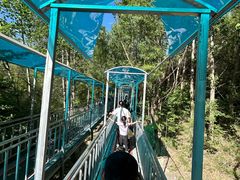-黄金寨原生态旅游区